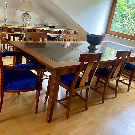 Wunderschoenes Grosses 3 Zimmer Apartament Zentrum Goldstadt Familienfreundlich Mit Garage 포르츠하임 외부 사진