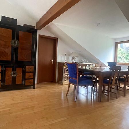 Wunderschoenes Grosses 3 Zimmer Apartament Zentrum Goldstadt Familienfreundlich Mit Garage 포르츠하임 외부 사진